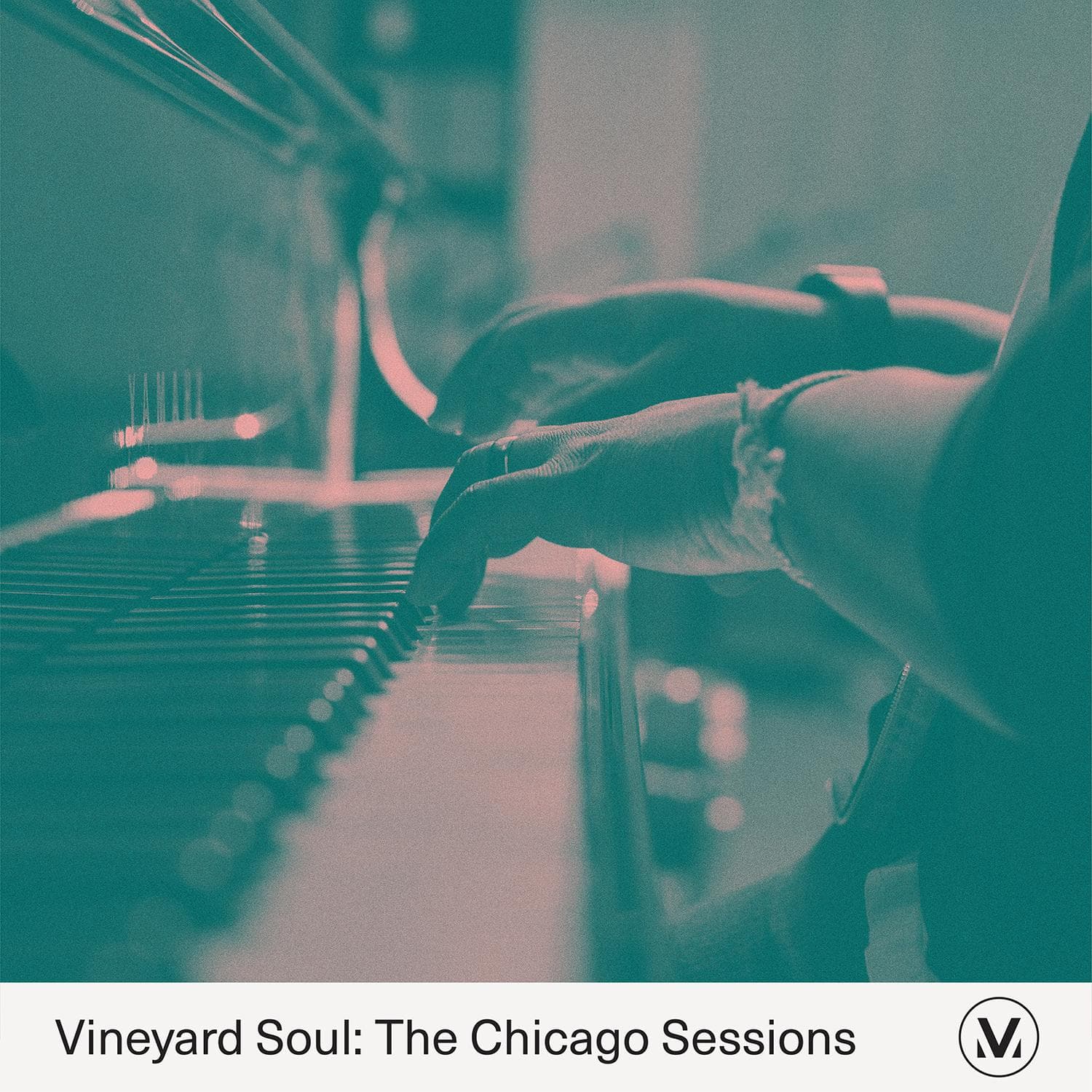Vineyard Soul: The Chicago Sessions - Vineyard Worship